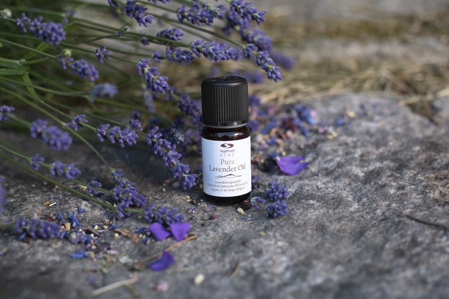 pure lavender oil with lavender flowers,